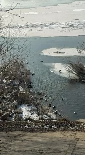 ���������� ���� � ������� �������� � �������������