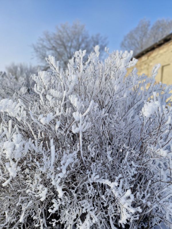 ������ ������� ����������� (���������������� �����), ������� ��������� �����