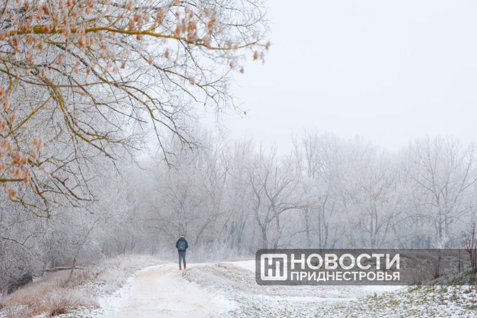 ������ ���� �� ����� � ��������� ���������� ����������������� ���� �������