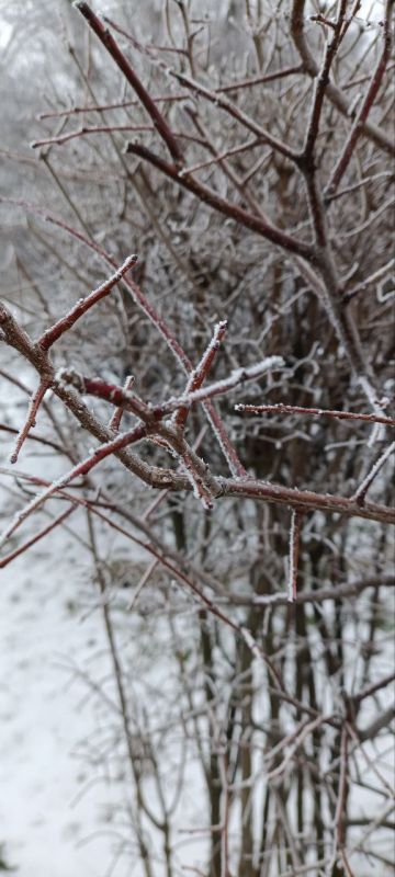 ������ ������� ������� �����