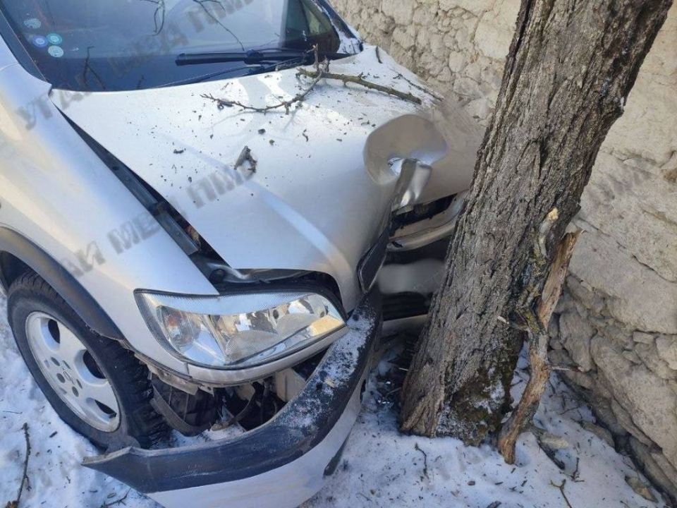 68-летняя каменчанка врезалась в дерево по дороге из церкви: она потеряла управление, когда потянулась за графином со святой водой, который начал падать