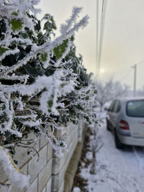 ������ ������� ����������� (���������������� �����)