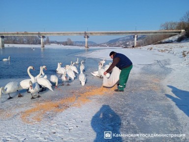 ������������� ���������� ������ ��������� ������� ������ �������