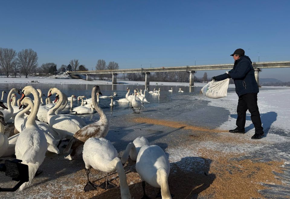 ������� ������� ����� ����� ���������� ���������� ��������������� ������������� ���������� ������ � ������ ������� � ������� ������� � ������ ����� �� �������� ������ ������� � ������ ������� �������