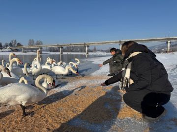 ������� ������� ����� ����� ���������� ���������� ��������������� ������������� ���������� ������ � ������ ������� � ������� ������� � ������ ����� �� �������� ������ ������� � ������ ������� �������