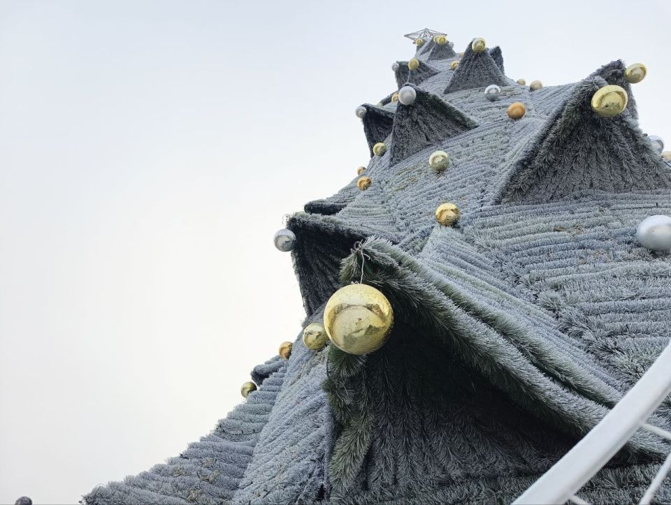 � ��� ������ ���� ��������