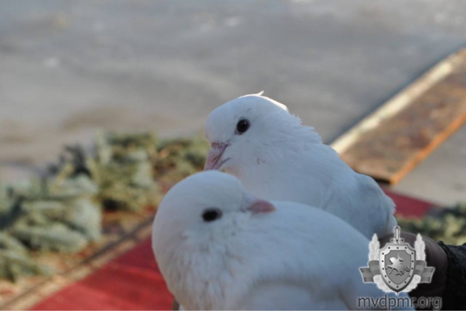 ���������� ������� � ���������