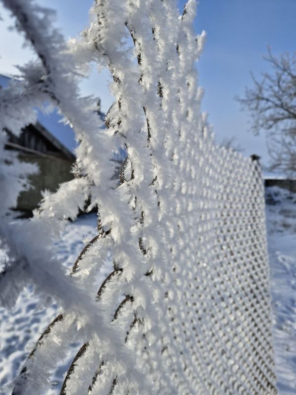 ������ ������� ����������� (���������������� �����)