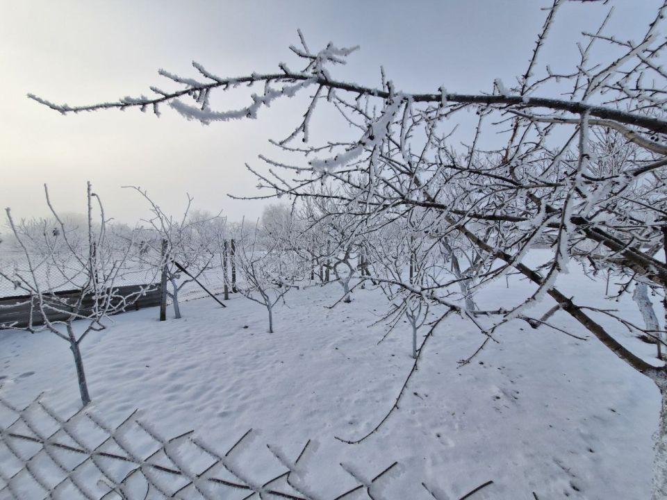 ������ ������� ����������� (���������������� �����)