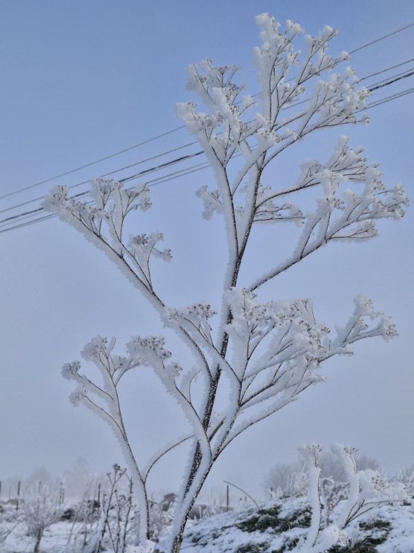 ������ ������� ����������� (���������������� �����), ������� ��������� �����