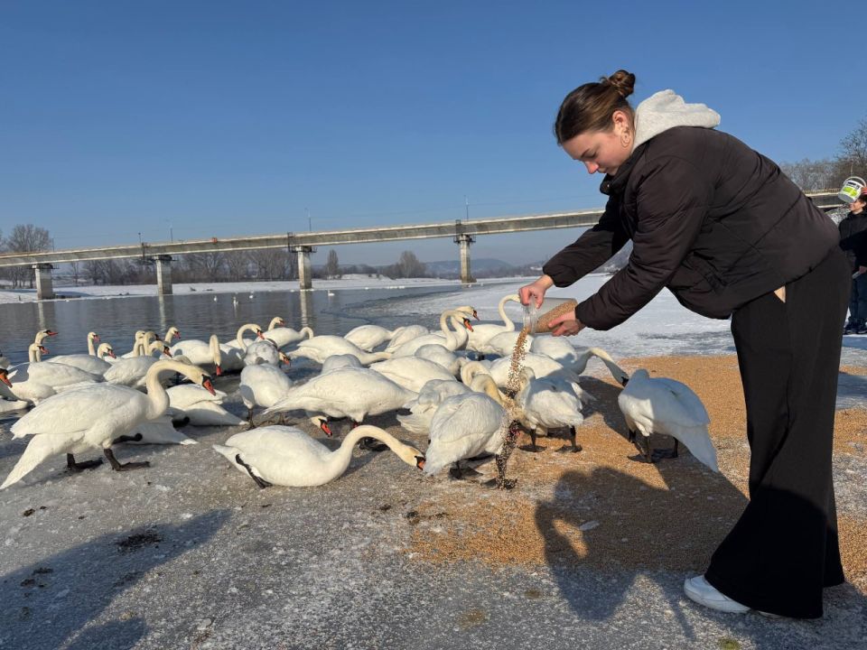 ������� ��������� ����� �2 �������������� � ����� ������ ������� � ������ ������� �������