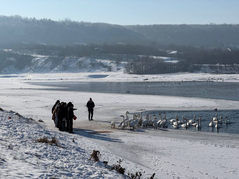 ������� ��������� ����� �2 �������������� � ����� ������ ������� � ������ ������� �������