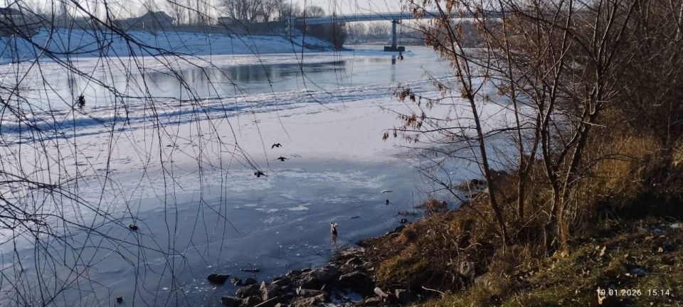 ����������� ������� ���. ���� ������� ���������