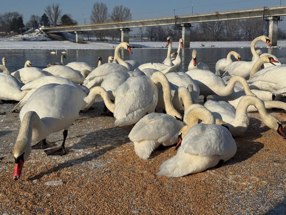 ������� ��������� ����� �2 �������������� � ����� ������ ������� � ������ ������� �������