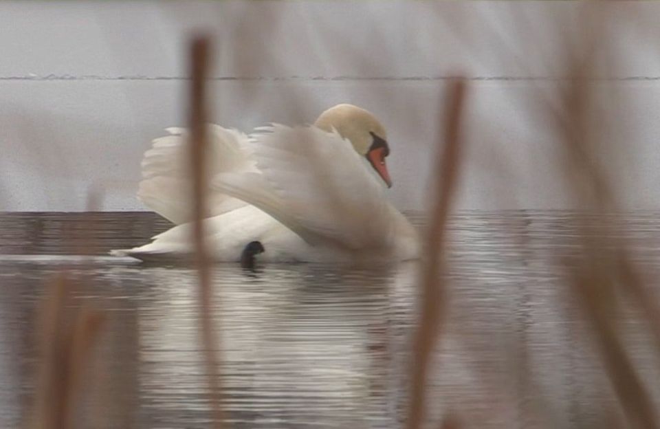 ������ �����: ����� ������ � ������������ ������