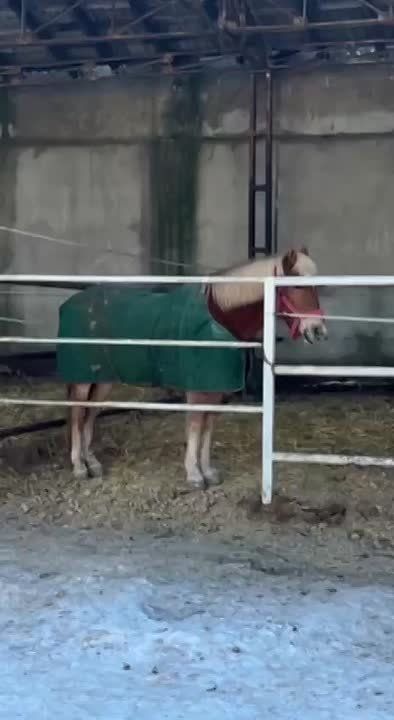 ���� �� ������� ������ ������ � ����� ��������� ������