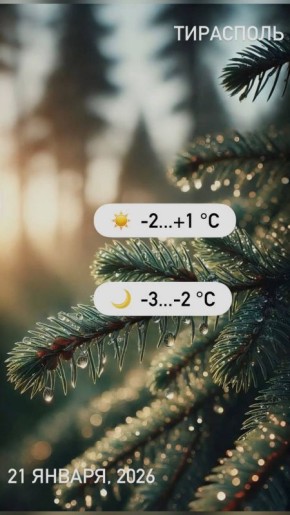 � ������ ������ ������������� �������