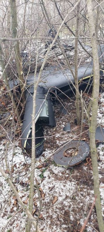 ���� � ������-������� ������