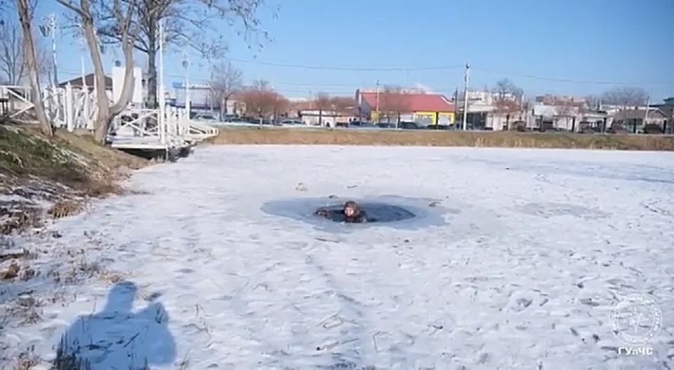 �����������! ������ ������ � ��������� ����������� � ����� �� ������� � ��������� �������� ����������, ��� �����������, ����� �������������� ��� ��