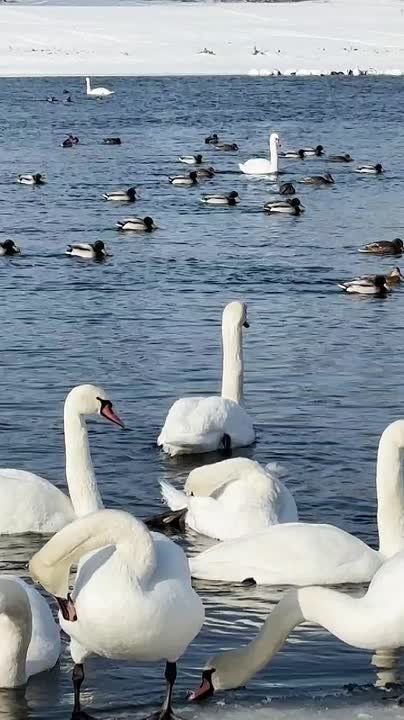 ������ ������ � ������ � ����� ����� ��������