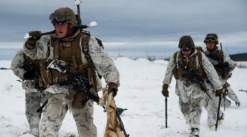 ���������� ������ ������ ������������ ��������, ������� ���������� ��������� ����������