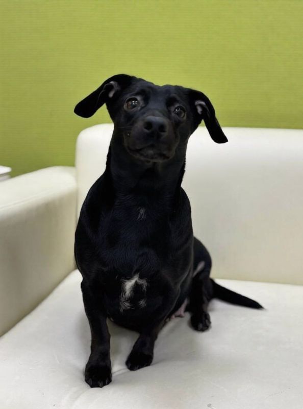 ��������� ������� �������� �����, ����� �� � ��������� ��� ��������� ������������ �� ������