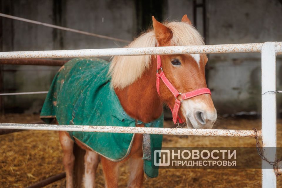 ��������� ����� � ������ ���� ������ ��� �����