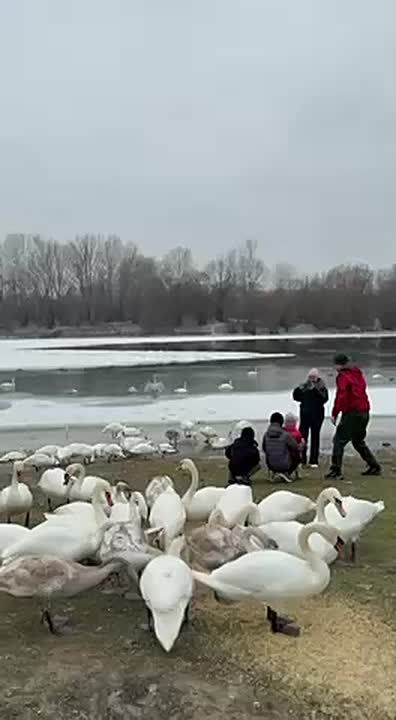 ������� �������� ��� �������� �� �������� �������