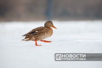 ������ ��� �������������� ����� ��������� � �������������