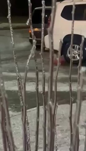 � ������������� ���� ������� �����, �������, ������ ����������� ������ ����