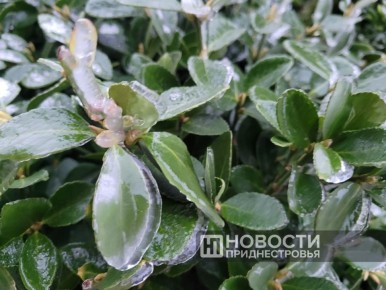 ������� ����� � ������������� ������ �� ������