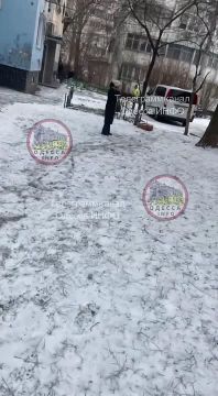 Принималово на Королева/Вльямса