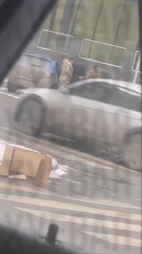 В Одессе собака спасла мужика от мобилизации