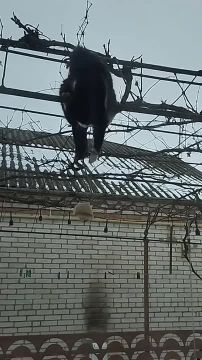 ��������� ������ ������ � ��������� ������ ����, ��� ������� ���� �������� ����� ����