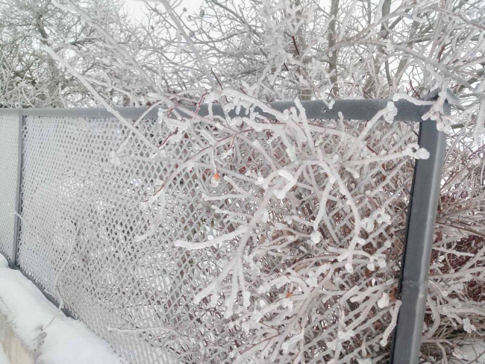 ���� �������������� �������