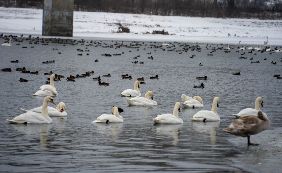 ������ �� ������� � ��������� ������� ��������