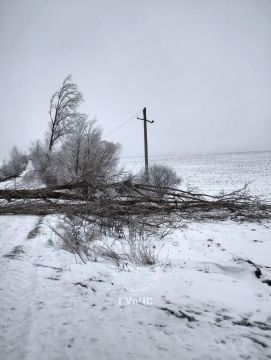 � ��������� ������ ��� �����, ���������� � ����� ����� �������� ��� �������������