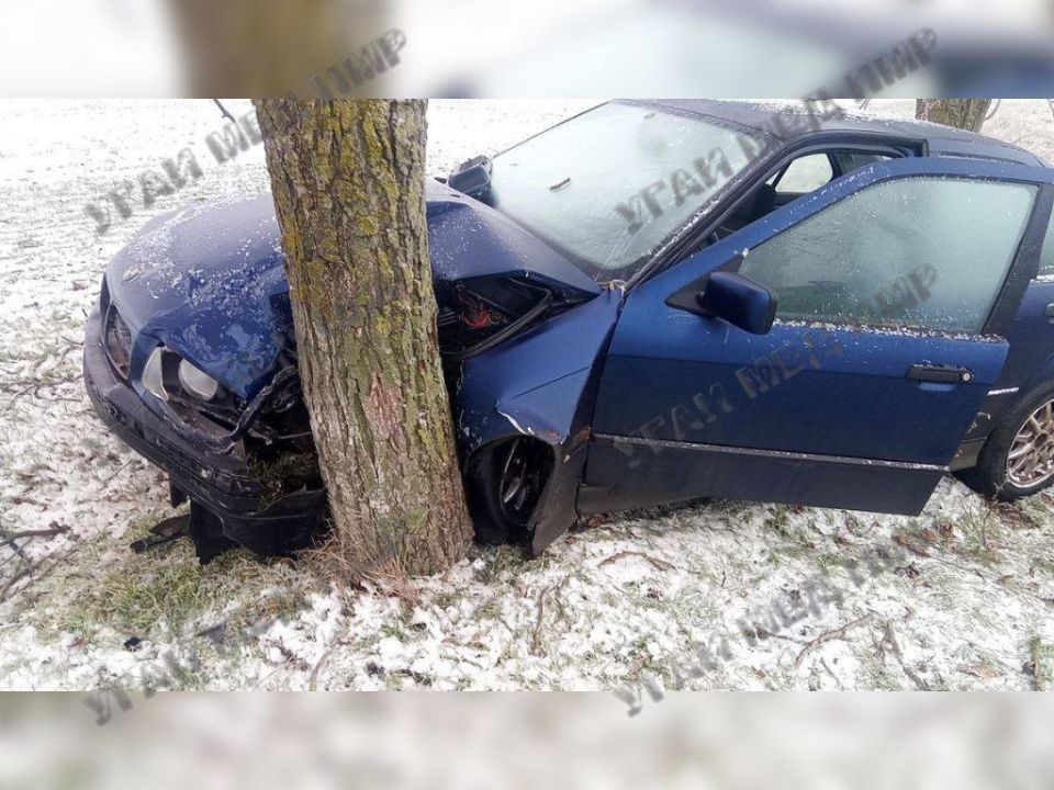 Водитель BMW врезался в дерево
