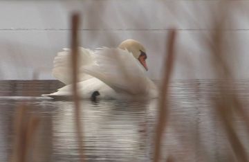 ����� ���� �������� ������ ��������� � �������� �����������