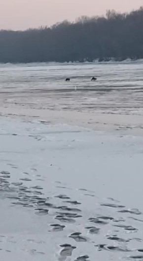 �� ������� ������ ��������� �������� � ���������