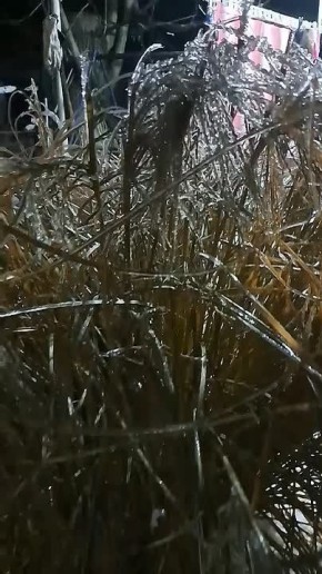 ��� ����� ������ ������������ ����� �� �������� � ���������