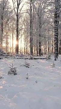 ������� �����, ��������, ��������� � ����������� ����� ��������� ������� ������������