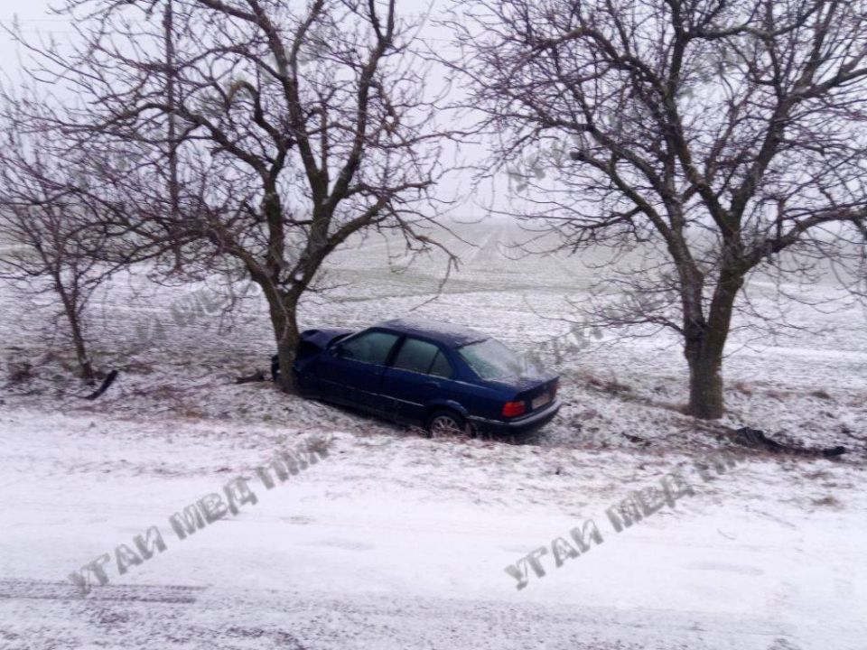 Водитель BMW врезался в дерево Водитель BMW врезался в дерево