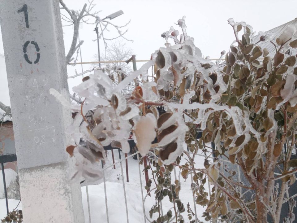 ���� �������������� �������