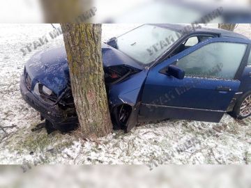 �������� BMW �������� � ������