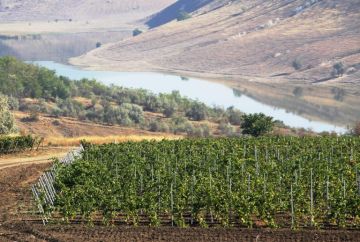 ������ ���������� �������� �� ����� ������������ ��������� ������� ������� � ���� ������� II