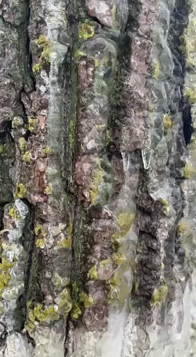 ����� ���� �������� � �������� �� ������ ����� ���������� ����� � 10 �� �� ���������