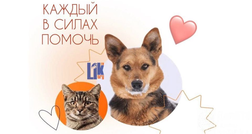 ���������� ������ �������� ������ ����� ������!