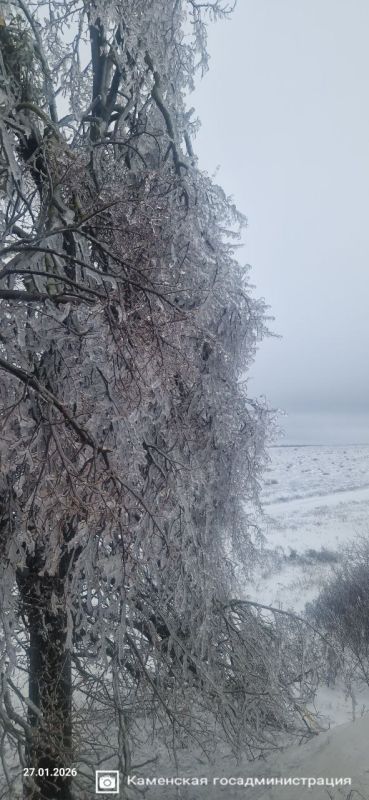 ��������� ����� �� ������ ������