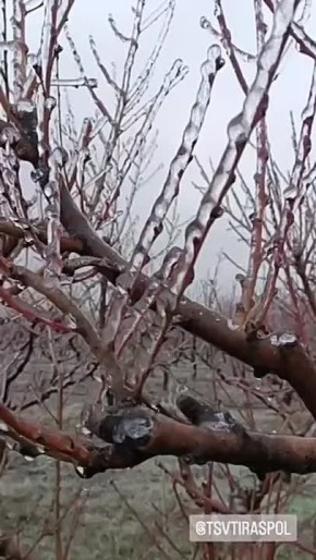 ���������� ��� � ��������� ������ �������� ���